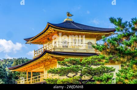 Colorato Kinkaku-Ji Rokuon-Ji Padiglione dorato Tempio buddista Zen Parco Kyoto Giappone. Risale al 1397, costruito da Shogun Ashikaga Yoshimasa e World He Foto Stock