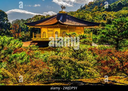 La caduta colorata lascia il Padiglione dorato di Kinkaku-Ji Rokuon-Ji il Tempio buddista Zen il Parco Kyoto Giappone. Risale al 1397, sito Patrimonio dell'Umanità. Foto Stock