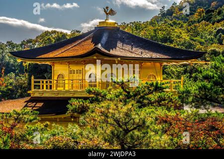 La caduta colorata lascia il Padiglione dorato di Kinkaku-Ji Rokuon-Ji il Tempio buddista Zen il Parco Kyoto Giappone. Risale al 1397, sito Patrimonio dell'Umanità. Foto Stock