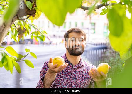 Il giovane barbuto mostra mele gialle dall'albero nel suo giardino nelle giornate di sole Foto Stock