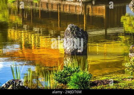 Colorato Giardino della riflessione sull'acqua Kinkaku-Ji Rokuon-Ji Padiglione dorato Parco del Tempio buddista Zen Kyoto Giappone. Risale al 1397, sito Patrimonio dell'Umanità. Foto Stock