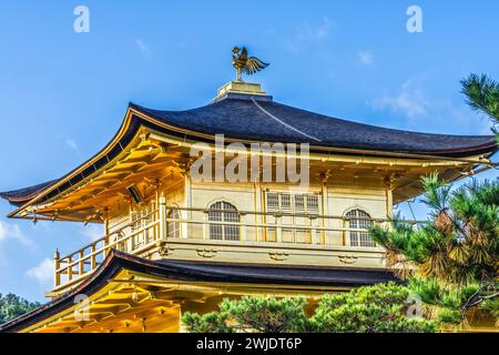 Colorato Kinkaku-Ji Rokuon-Ji Padiglione dorato Tempio buddista Zen Parco Kyoto Giappone. Risale al 1397, costruito da Shogun Ashikaga Yoshimasa e World He Foto Stock