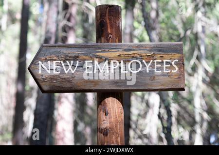 NUOVI DIPENDENTI testo scritto sulla freccia del Consiglio sullo sfondo della foresta Foto Stock