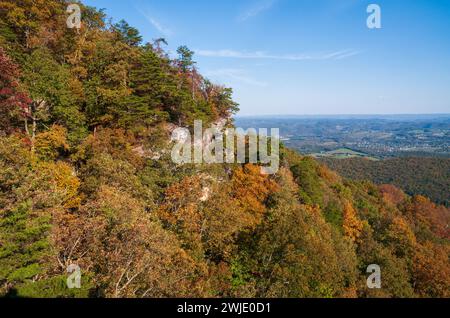 Mattinata nebbiosa al Pinnacle Overlook, Cumberland Gap National Historical Park Foto Stock