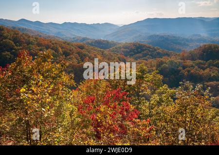 Mattinata nebbiosa al Pinnacle Overlook, Cumberland Gap National Historical Park Foto Stock