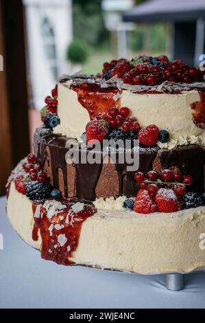 Una torta a tre piani adornata con frutti di bosco assortiti e vivaci Foto Stock