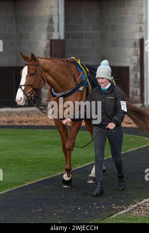 Wincanton Races 19 febbraio 2022 - gara 5 Foto Stock