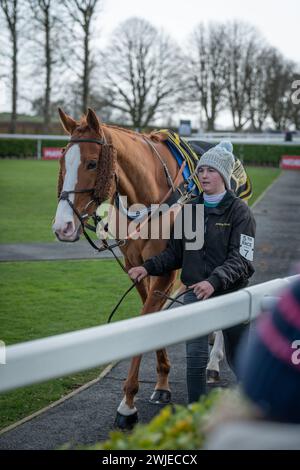 Wincanton Races 19 febbraio 2022 - gara 5 Foto Stock