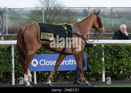 Wincanton Races 19 febbraio 2022 - gara 5 Foto Stock