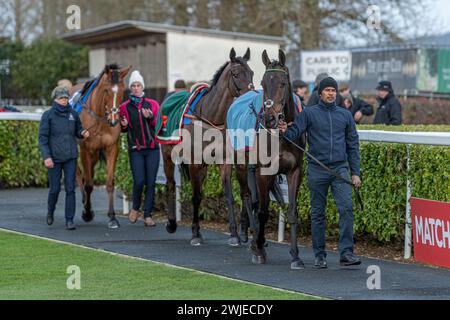 Wincanton Races 19 febbraio 2022 - gara 5 Foto Stock