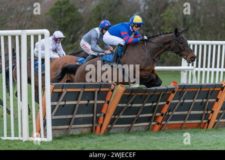 Wincanton Races 19 febbraio 2022 - gara 5 Foto Stock