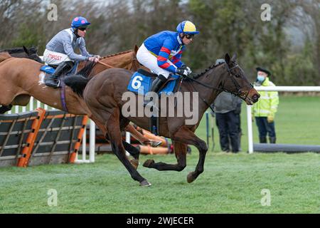 Wincanton Races 19 febbraio 2022 - gara 5 Foto Stock