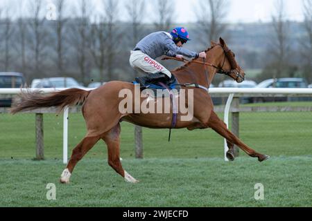 Wincanton Races 19 febbraio 2022 - gara 5 Foto Stock