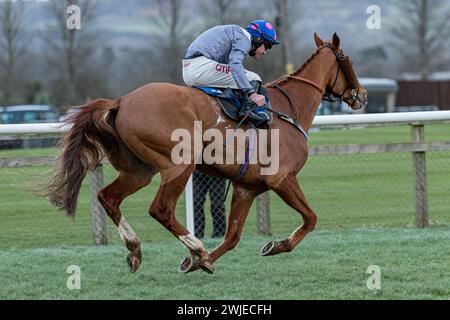 Wincanton Races 19 febbraio 2022 - gara 5 Foto Stock