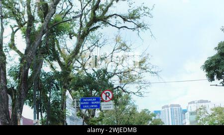 Nel cuore della città di Medan si erge un maestoso albero, simbolo di tranquillità in mezzo al vivace paesaggio urbano, che offre ombra e conforto ai passanti Foto Stock