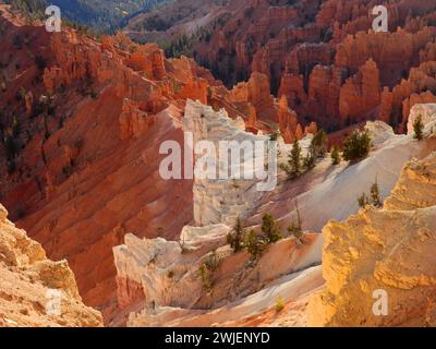 i canyon di cedro dai colori spettacolari ed erosi rompono il monumento nazionale da point supreme overlook nel sud-ovest dello utah, vicino a brian head Foto Stock