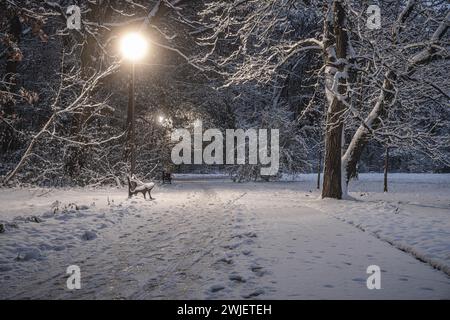 Un parco innevato illuminato da un semaforo in un paese delle meraviglie d'inverno Foto Stock