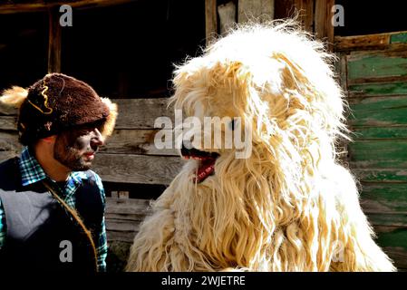 Maschere Vijanera in riunione di Vilariño de Conso, Ourense, Spagna Foto Stock