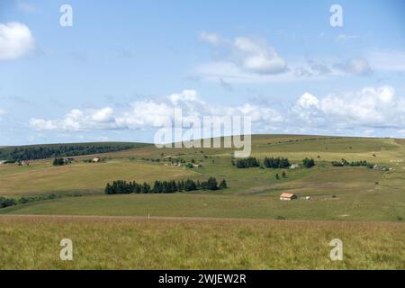 Catena montuosa “Monts du Forez” (Francia centro-meridionale): Paesaggio del sito naturale “Hautes Chaumes” in estate, nella città di Sauvain Foto Stock