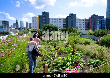 Paesi Bassi, Rotterdam: Tetto dell'edificio Schieblok, ex edificio per uffici nel centro della città, con giardino Foto Stock