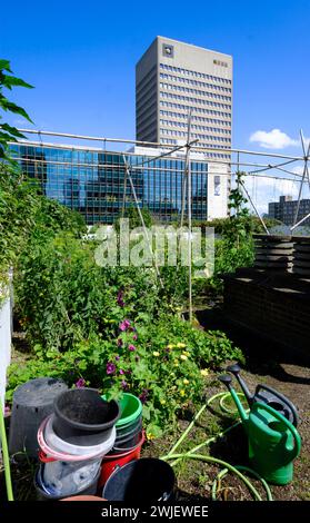 Paesi Bassi, Rotterdam: Tetto dell'edificio Schieblok, ex edificio per uffici nel centro della città, con giardino Foto Stock