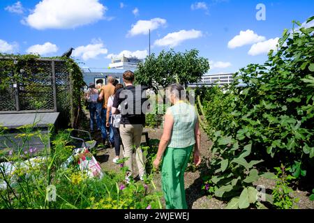 Paesi Bassi, Rotterdam: Tetto dell'edificio Schieblok, ex edificio per uffici nel centro della città, con giardino Foto Stock