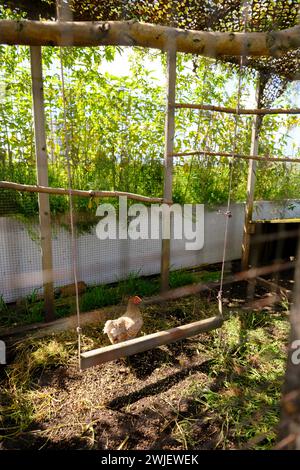 Paesi Bassi, Rotterdam: Tetto dell'edificio Schieblok, ex edificio per uffici nel centro della città, con giardino Foto Stock