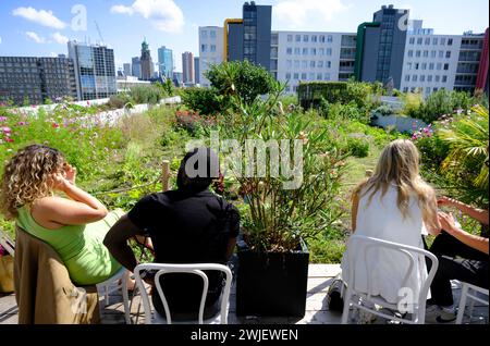 Paesi Bassi, Rotterdam: Tetto dell'edificio Schieblok, ex edificio per uffici nel centro della città, con giardino Foto Stock