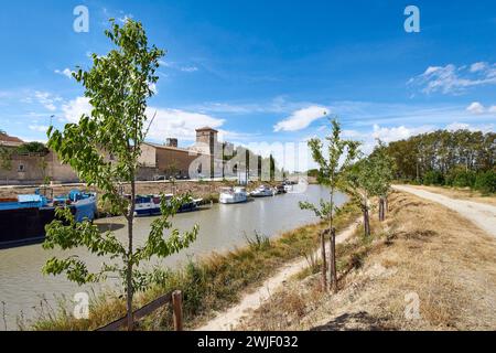 Piantare alberi lungo il Canal du Midi, qui al porto fluviale Colombiers (sud della Francia). Il Canal du Midi è registrato come patrimonio mondiale dell'UNESCO Foto Stock