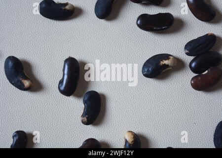 Semi di fagioli neri su sfondo bianco. Foto Stock