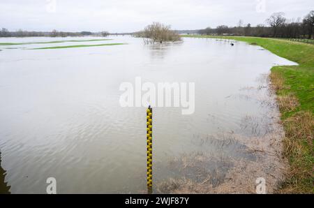 15 febbraio 2024, bassa Sassonia, Neustadt am Rübenberge: Scartamento d'acqua sul fiume Leine vicino a Bordenau nella regione di Hannover. Il livello dell'acqua di alcuni fiumi rimane alto in diverse località della bassa Sassonia. Secondo l’Agenzia per la gestione delle acque della bassa Sassonia, la difesa costiera e la conservazione della natura (NLWKN), il giovedì mattina sette punti di misurazione hanno mostrato il più alto dei tre livelli di allarme per le zone interne. Foto: Julian Stratenschulte/dpa Foto Stock