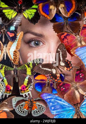 L'archivista Errin Hussey, con alcune delle farfalle più rare e più belle del mondo conservate e in mostra al Leeds Discovery Centre, che ospita centinaia di specie provenienti da tutto il mondo, molte raccolte da esploratori e scienziati più di un secolo fa. Data foto: Giovedì 15 febbraio 2024. Foto Stock