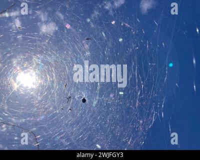 Effetto ragnatela. Sparato dal basso contro il cielo Foto Stock