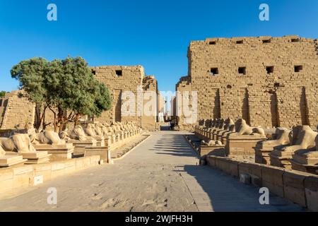 Ingresso al complesso del tempio di Karnak sulla riva orientale del fiume Nilo, a Luxor in Egitto Foto Stock