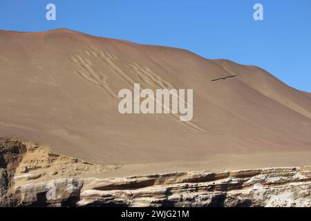 Glifo Candelabra su una duna nel Parco Nazionale di Paracas, portato da una barca alle Isole Ballestas Foto Stock