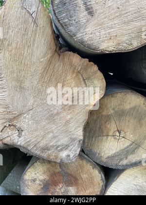 Tagliare tronchi di legno che si trovano uno sopra l'altro, grana visibile. Foto Stock