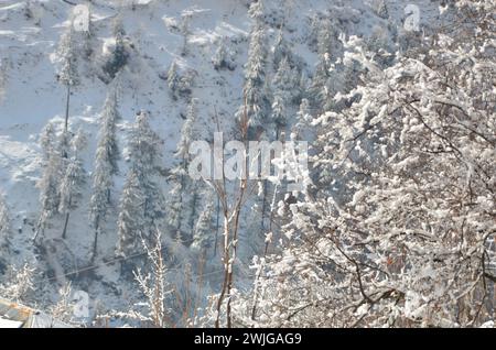 Nevicata a Kaghan Naran febbraio 2024 Foto Stock