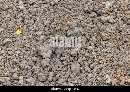 Frammenti di terreno secchi sterili dovuti alla siccità e al calore in estate, la Germania nei cambiamenti climatici Foto Stock