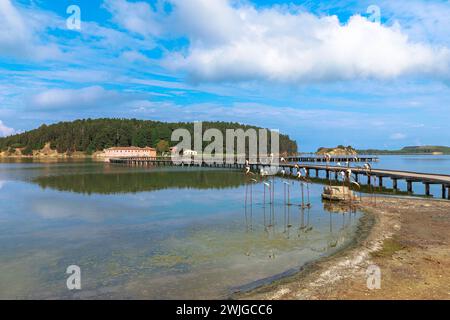 Per raggiungere il St Monastero di Maria sull'isola di Zvernec in Albania, i visitatori possono prendere un ponte pedonale dalla terraferma all'isola, creando il Foto Stock