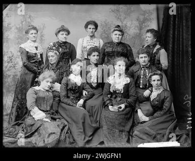 Womanhood Suffrage League of New South Wales, Australia 1902. (96) seconda fila, in piedi (da sinistra a destra) la sig.ra Jackson (filiale del presidente Redfern), la sig.ra Wynn (filiale di pres. Annandale), la sig.ra Caldwell (Camperdown), la sig.ra T. Parkes (Pres Toxteth League), la sig.ra Hansen (filiale di Pres Newtown). Fila centrale, seduti, Mrs McDonald (Pres Glebe Branch), Miss Annie Golding (Segretario organizzativo ), Mrs Chapman (Segretario del Redfern Branch). In prima fila, seduti, la signora C. Martel (segretaria di registrazione), la signorina Belle Golding (Segretario della filiale di Newtown), la signora Dickie (ex pres di Newtown) e la signora Dwyer (sec. Camperdown) Foto Stock