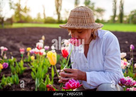 Ritratto di un giardiniere anziano che raccoglie i fiori di tulipani nel giardino primaverile. Donna in pensione con cappello di paglia che puzza di fioritura. Giardinaggio all'aperto Foto Stock