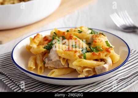 Pollo al formaggio fatto in casa, cottura con pasta all'Alfredo su piatto, vista laterale. Primo piano. Foto Stock