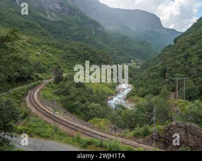 Vista a sud sui binari della linea Flåmsbana (ferrovia Flåm) lungo il percorso da Myrdal a Flåm, Norvegia. Foto Stock