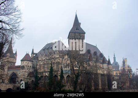 Castello di Vajdahunyad nel parco cittadino di Budapest, Ungheria. Foto Stock
