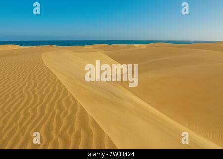 Gita a Gran Canaria alle dune e alla spiaggia di Maspalomas. Queste famose attrazioni sono un'attrazione da non perdere per i turisti che cercano un'esperienza memorabile sul Foto Stock