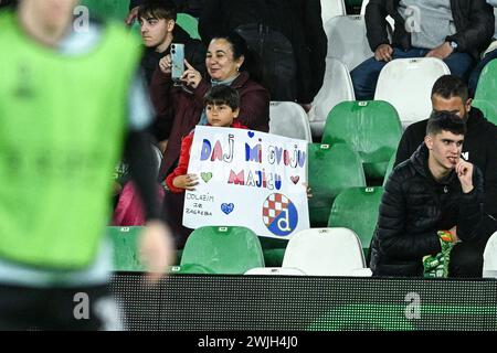 Siviglia, Spagna. 15 febbraio 2024. Il tifoso ha un cartello che chiede la maglia della Dinamo prima della partita di andata del 16° turno di UEFA Europa Conference League 2023/24 tra Real Betis e GNK Dinamo all'Estadio Benito Villamarin il 15 febbraio 2024 a Siviglia, Spagna. Foto: Marko Lukunic/PIXSELL credito: Pixsell/Alamy Live News Foto Stock