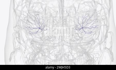 L'occlusione della vena retinica è un blocco delle piccole vene che allontanano il sangue dall'illustrazione 3d della retina Foto Stock