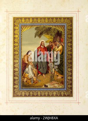 Splendidamente illustrato da Charles Rolt, Antique incise Victorian Botanical Illustration of the Sermon on the Mount, pubblicato nel 1861. Copyright ha Foto Stock