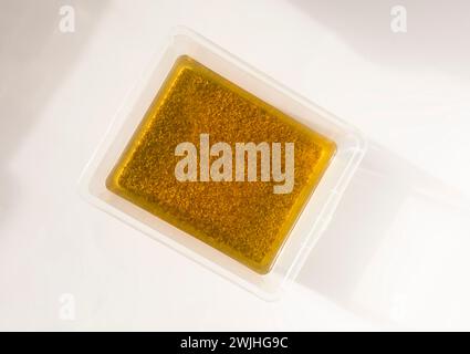 Semi germinati in acqua umida. Ingredienti alimentari sani. Foto Stock