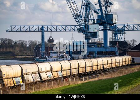 Il porto DI NIAG Rhine a Rheinberg-Orsoy, scarico di navi da carico con carbone importato, quindi carico su vagoni merci ferroviari, porto trimodale, NRW, Germania, Foto Stock